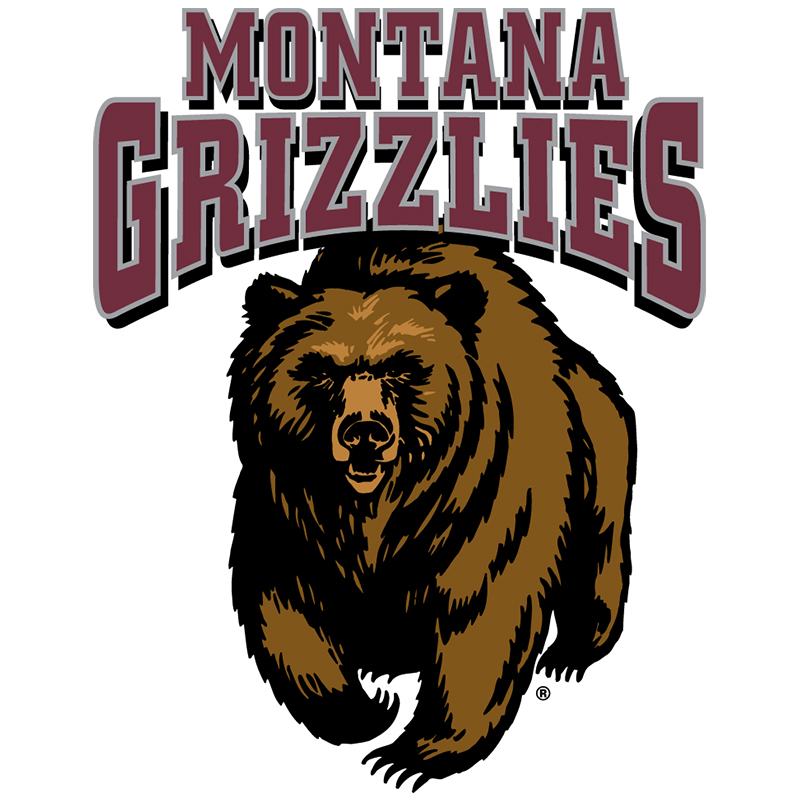 Montana Grizzlies iron ons